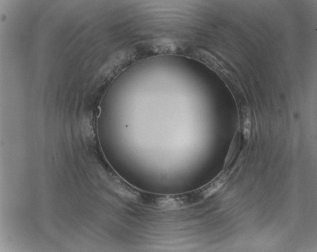 X0000069360616200605192100