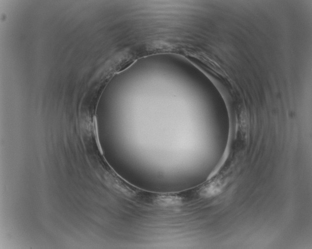 X0000069360617200605192100