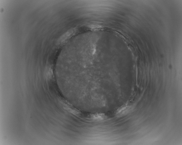 X0000069360618200605192100