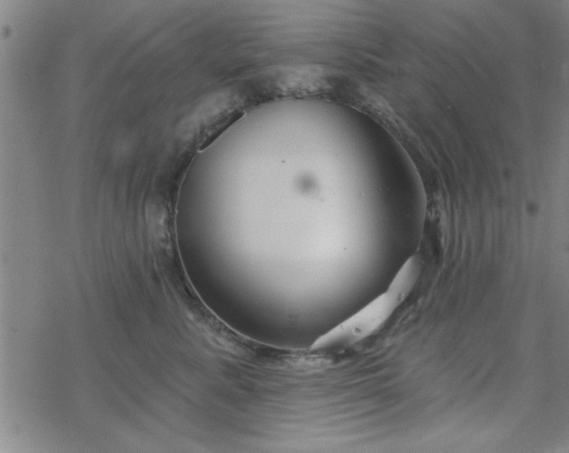 X0000069360619200605192100