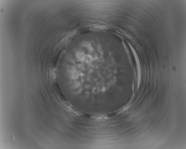 X0000069360621200605192100