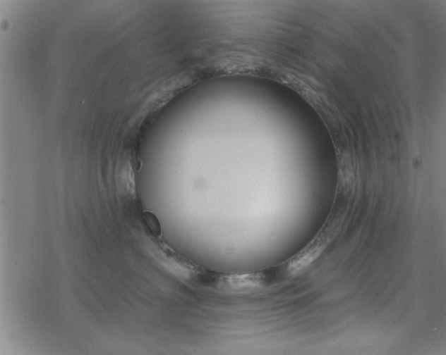 X0000069360622200605192100