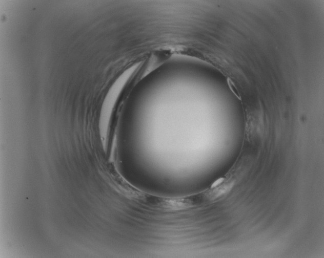 X0000069360623200605192100