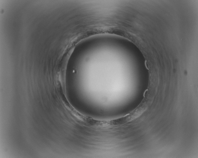 X0000069360624200605192100