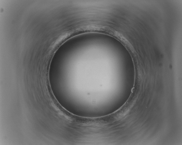 X0000069360625200605192059