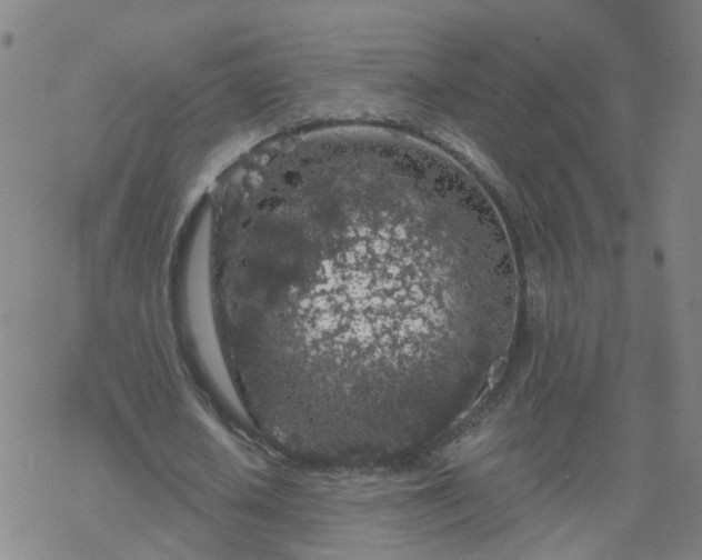 X0000069360626200605192059