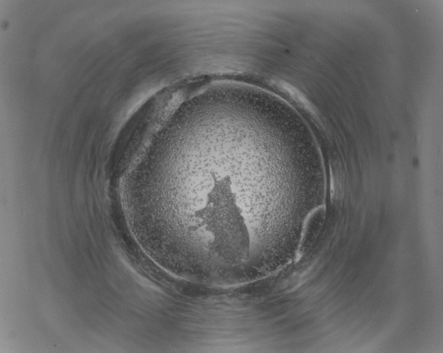 X0000069360627200605192059