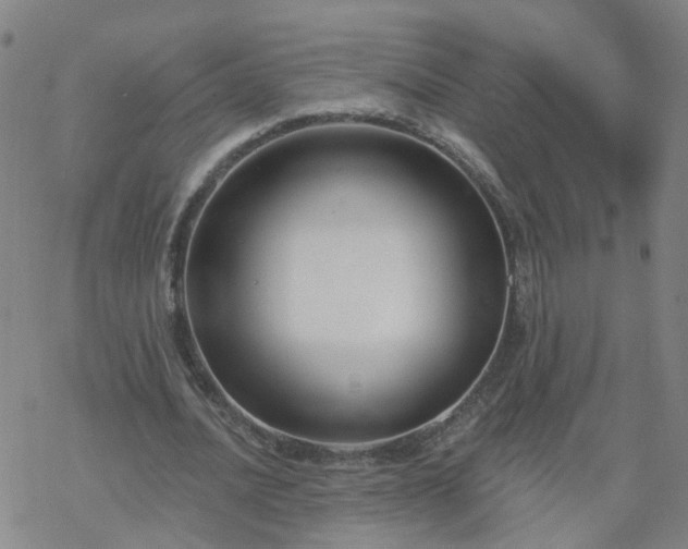 X0000069360628200605192059