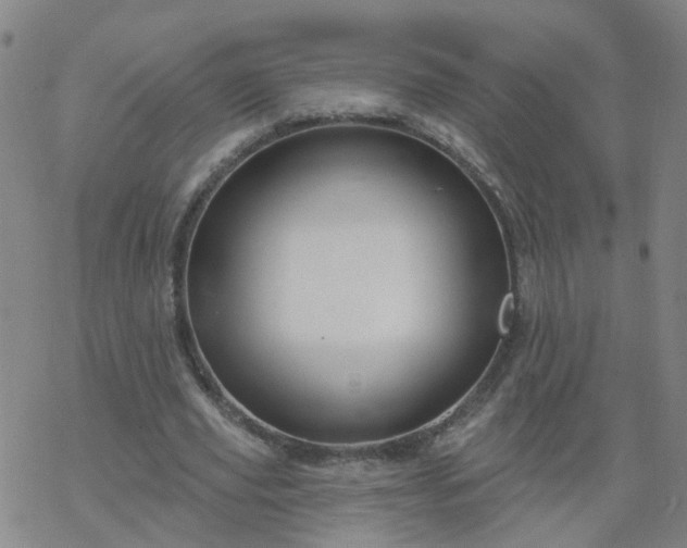 X0000069360629200605192059