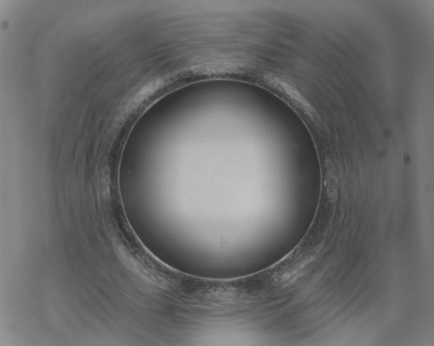 X0000069360631200605192059