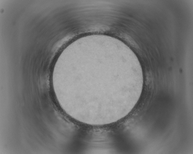 X0000069360632200605192059