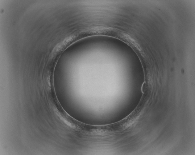 X0000069360633200605192059