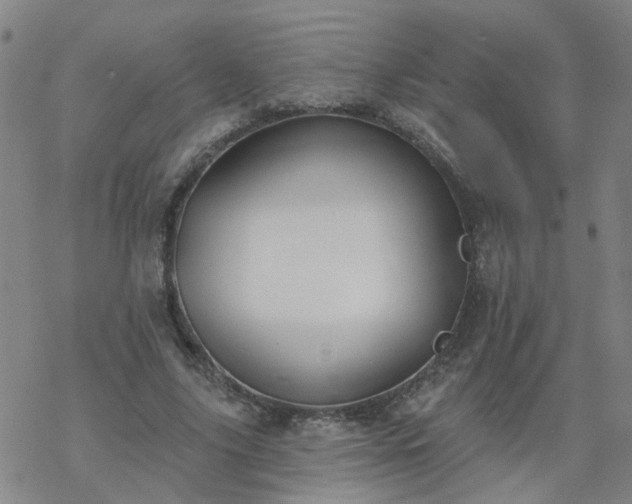 X0000069360635200605192059