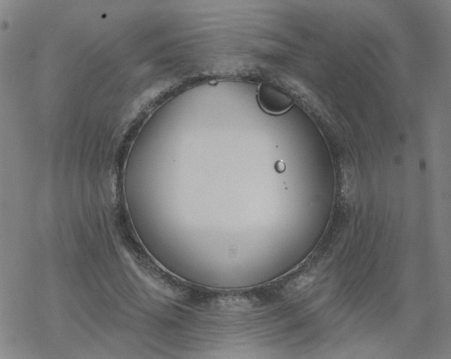 X0000069360636200605192059