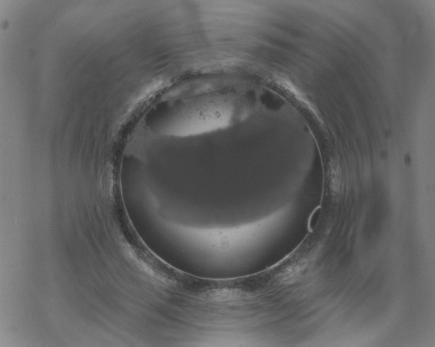 X0000069360637200605192059