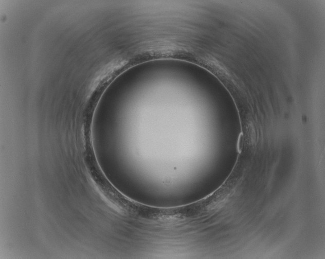 X0000069360638200605192059