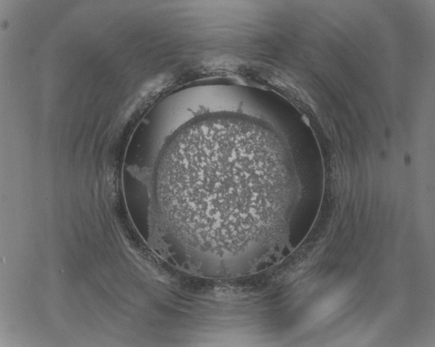 X0000069360641200605192059