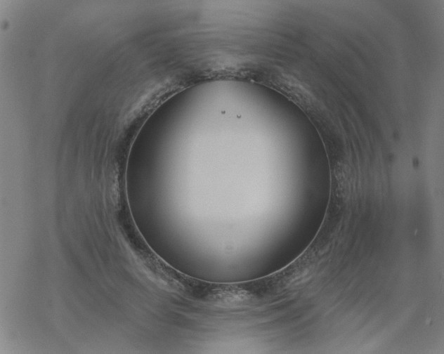 X0000069360642200605192059