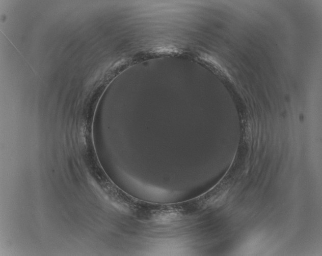 X0000069360643200605192059