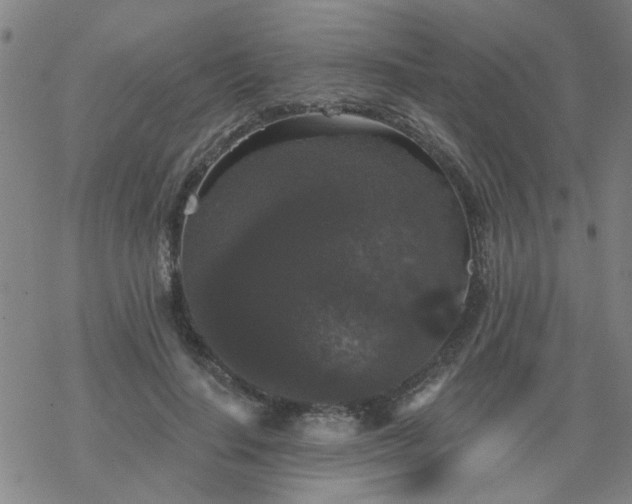 X0000069360644200605192059