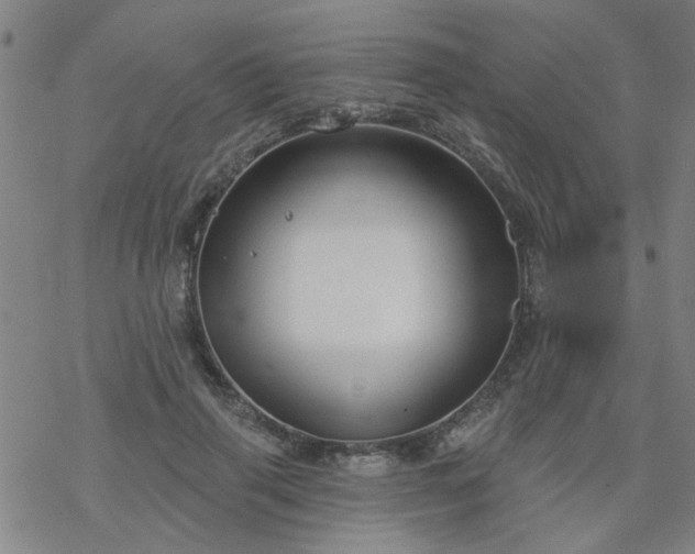 X0000069360645200605192059