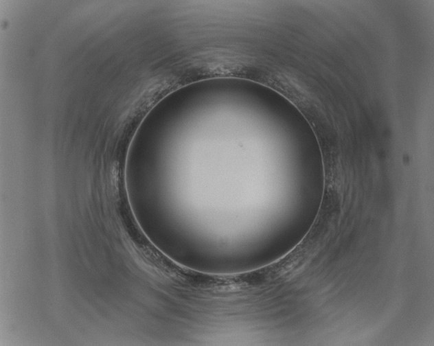 X0000069360646200605192059