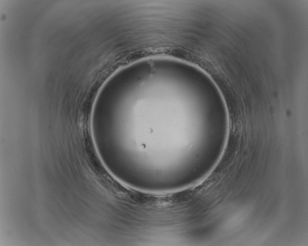 X0000069360647200605192059