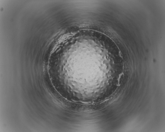 X0000069360648200605192059