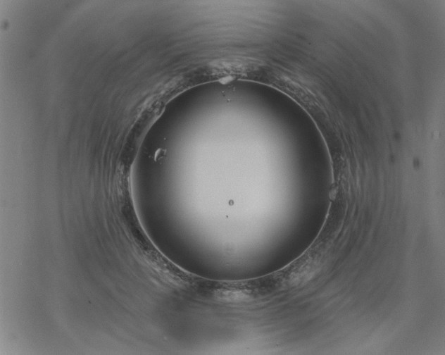 X0000069360649200605192059