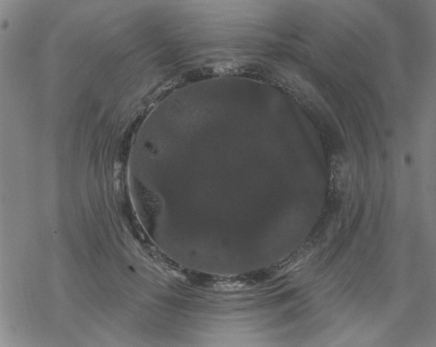 X0000069360650200605192059