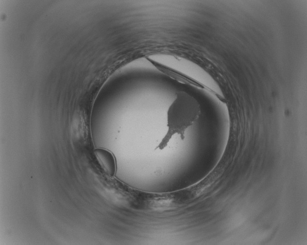 X0000069360651200605192059