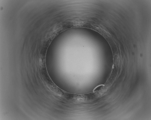 X0000069360655200605192059