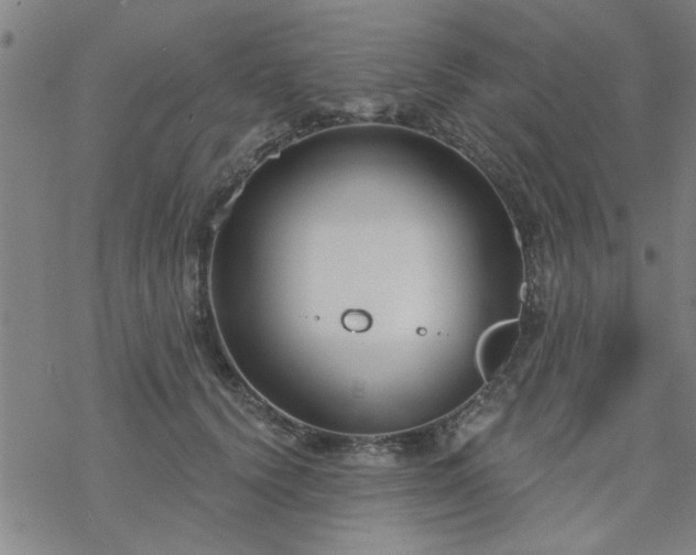 X0000069360656200605192059