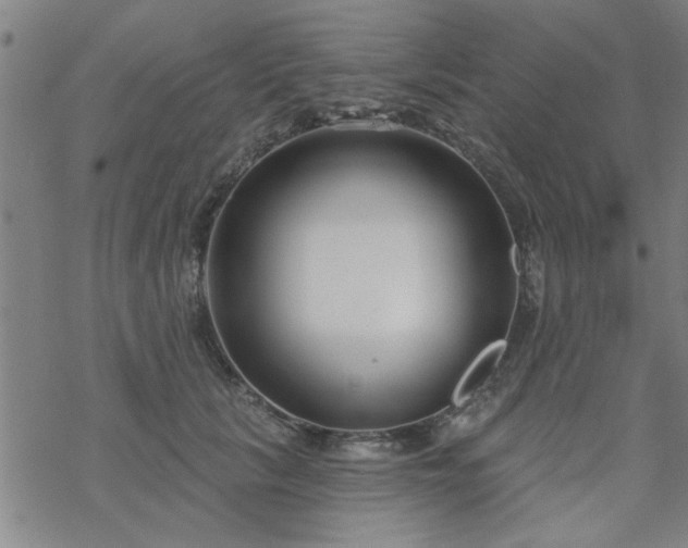 X0000069360657200605192059