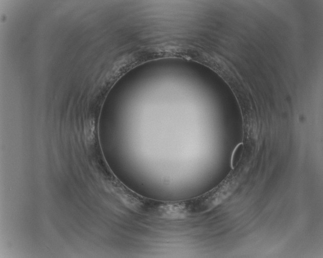 X0000069360660200605192059