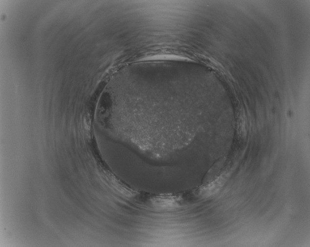 X0000069360661200605192059