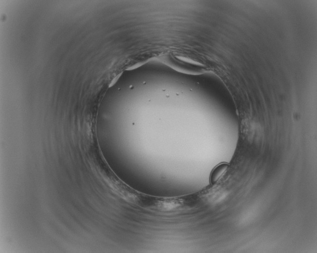 X0000069360662200605192059