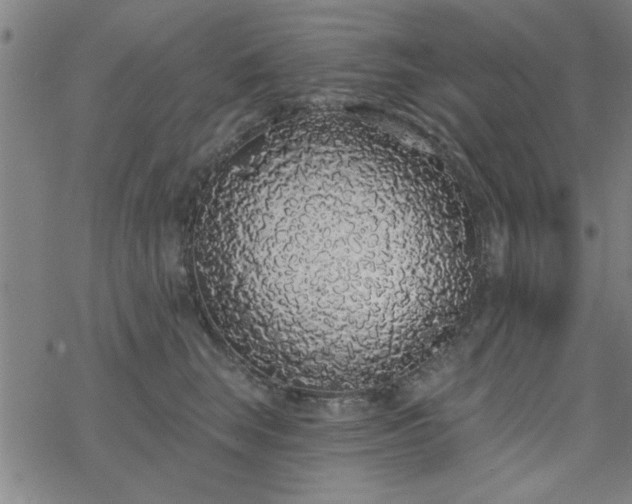 X0000069360663200605192059