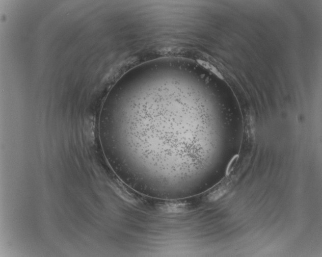 X0000069360664200605192059