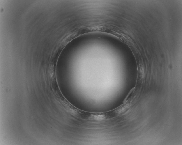 X0000069360665200605192059