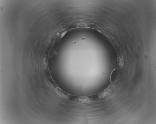 X0000069360666200605192059