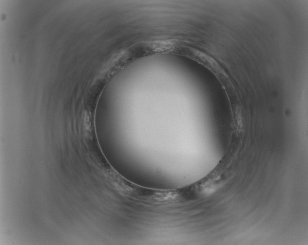 X0000069360667200605192059