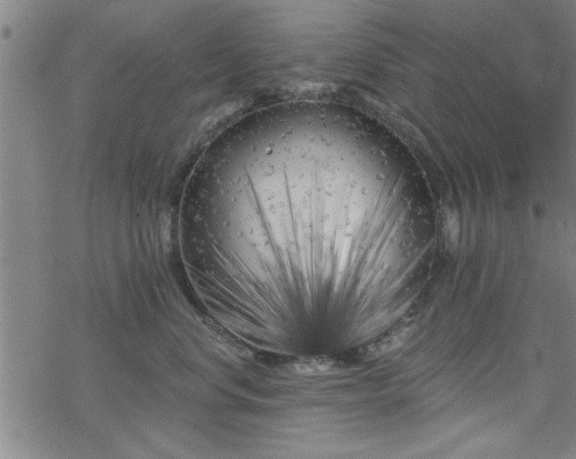 X0000069360668200605192059