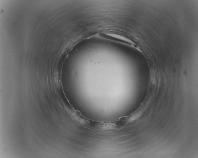 X0000069360670200605192059