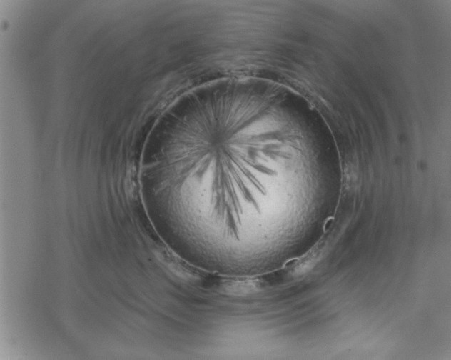 X0000069360671200605192100