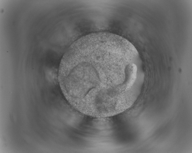 X0000069360672200605192100