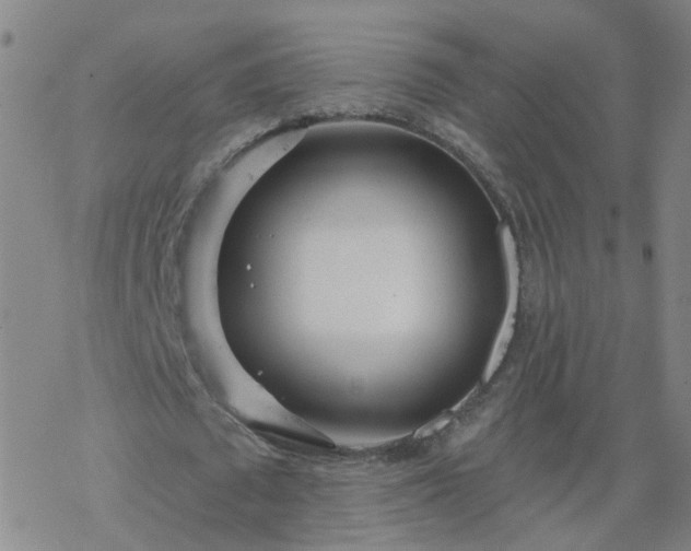 X0000069360673200605192059