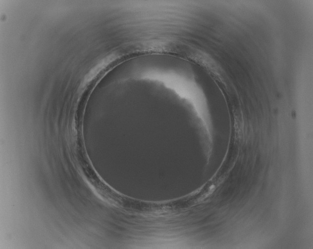 X0000069360674200605192059