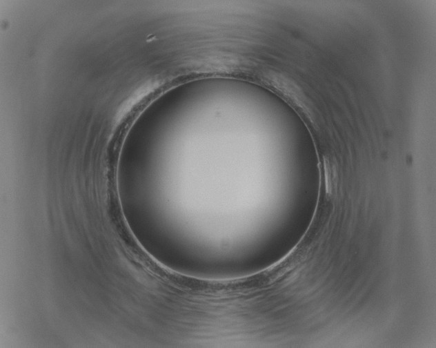 X0000069360675200605192059