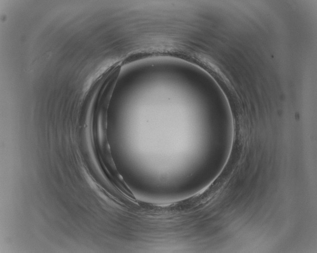 X0000069360677200605192059